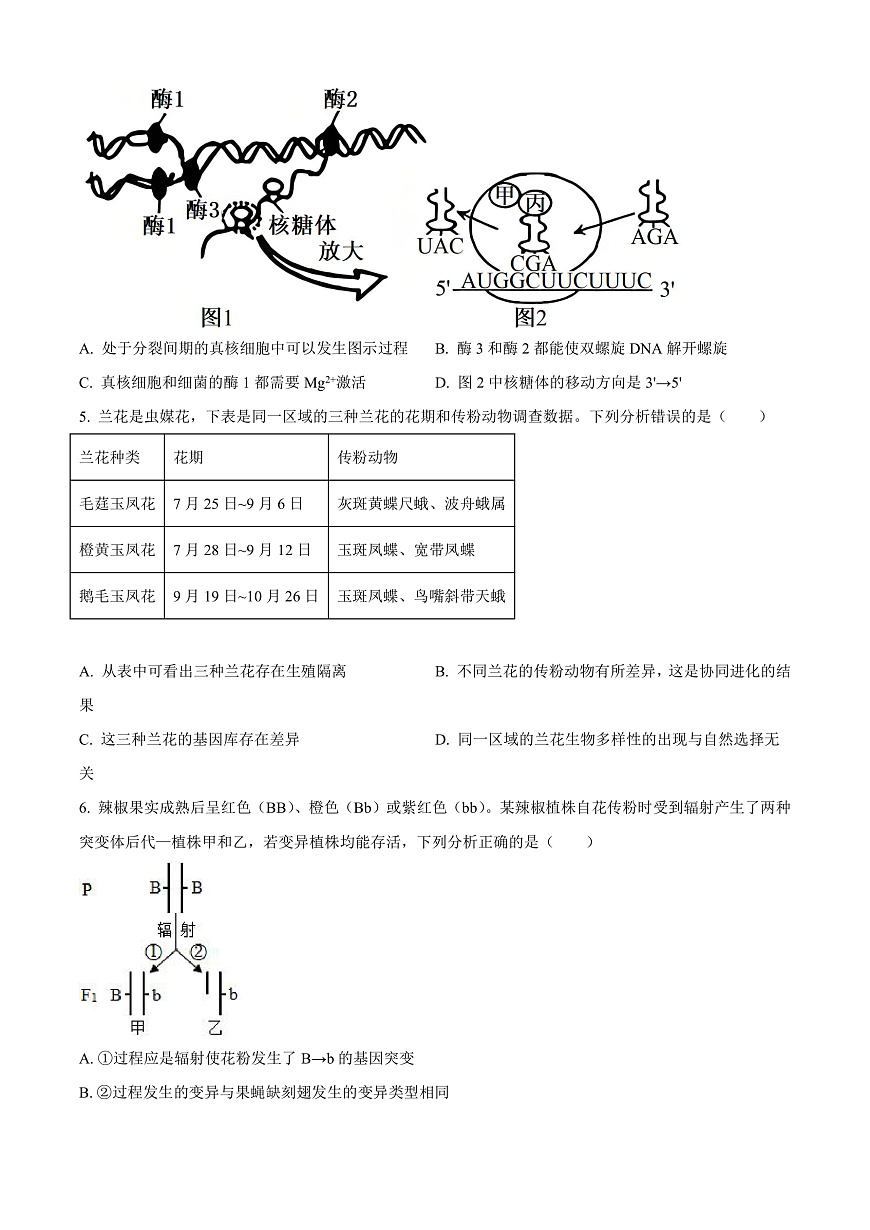 河北省保定市四校联考2025-2026学年高三上学期9月月考生物试题  Word版无答案第2页