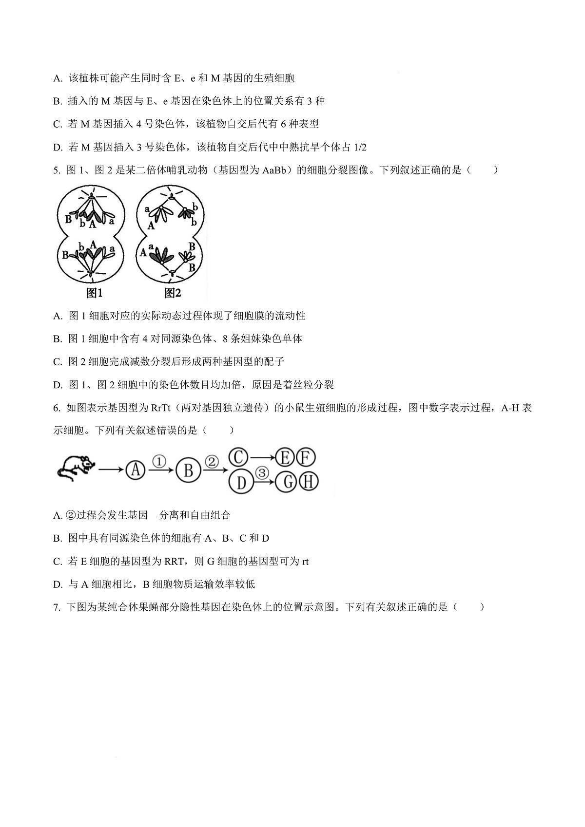 四川省内江市第六中学2025-2026学年高二上学期入学考试生物试题  Word版无答案第3页