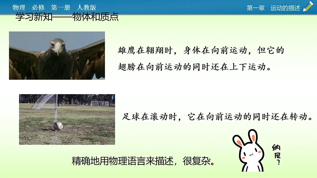 17374150第2页