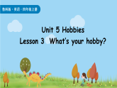 Unit 5 Hobbies Lesson 3 课件 鲁科版四年级英语上册