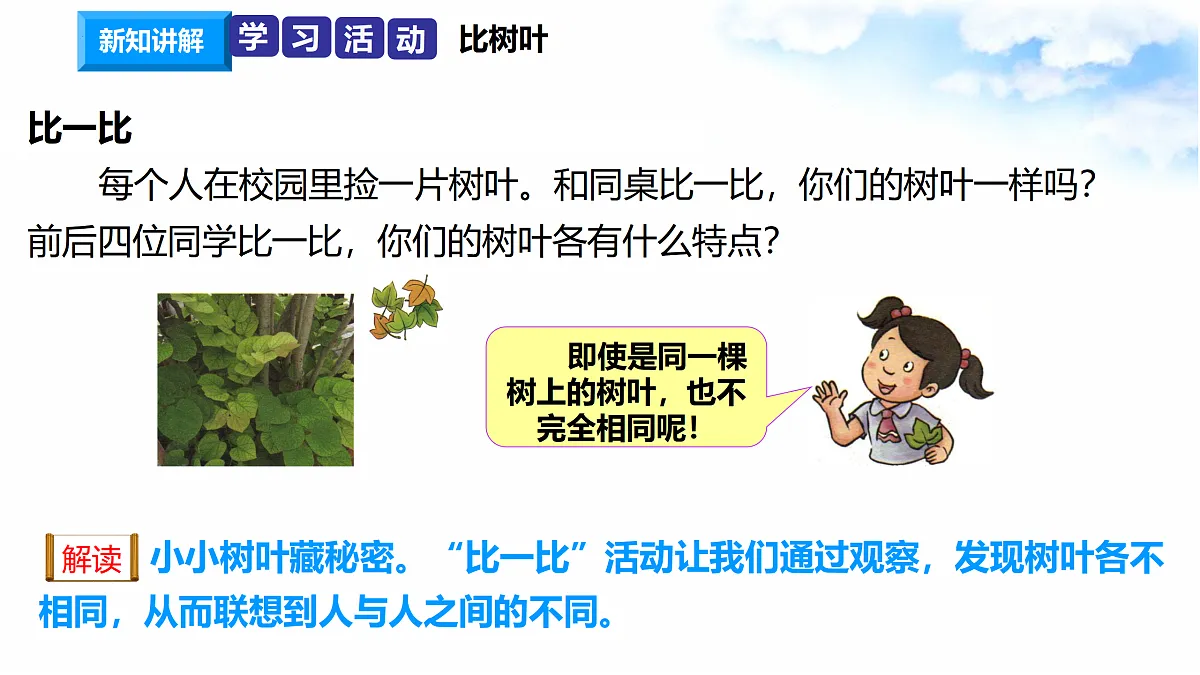 17374535第4页