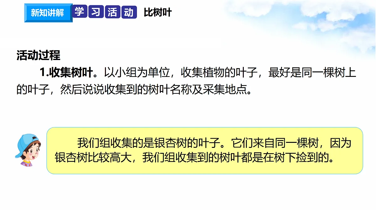 17374535第5页