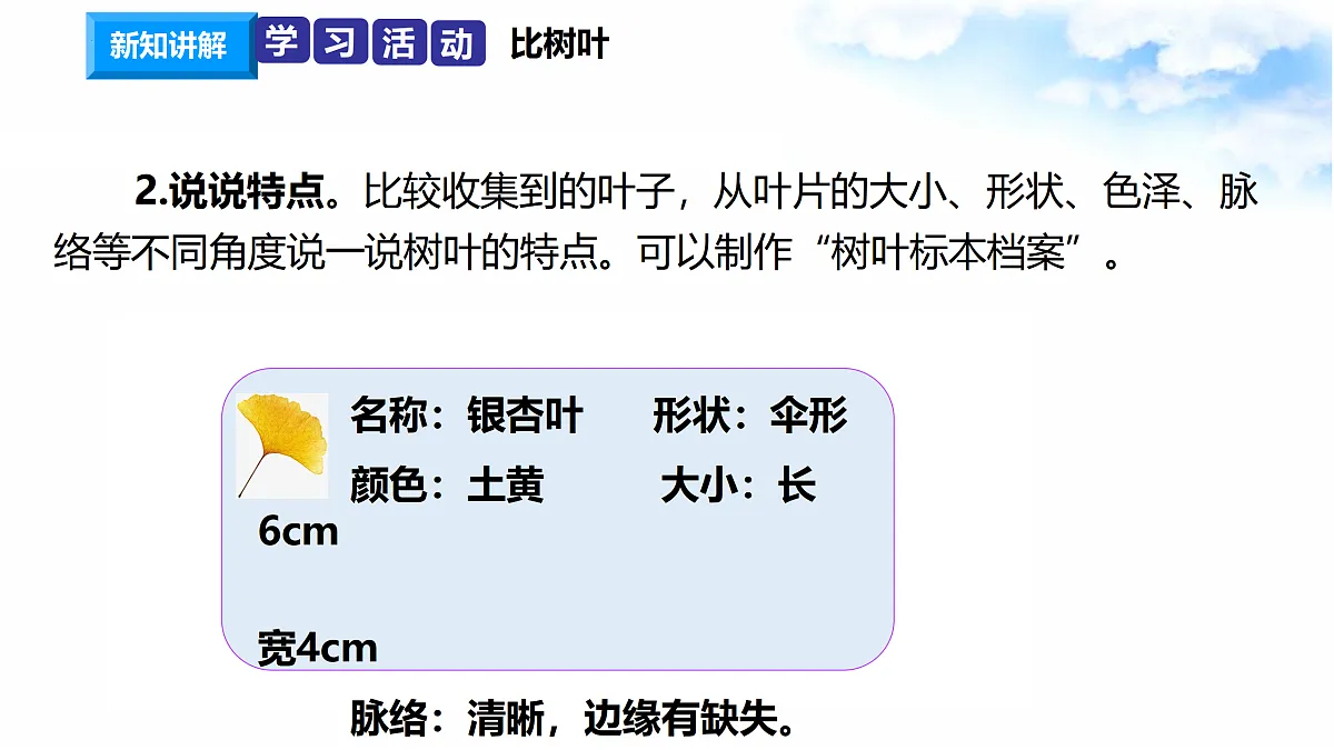 17374535第6页