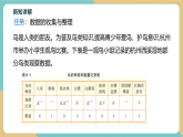 【新教材新课标】浙教版数学七下6.1《数据的收集与整理（1）》课件+教案（表格式含反思）+大单元教学设计