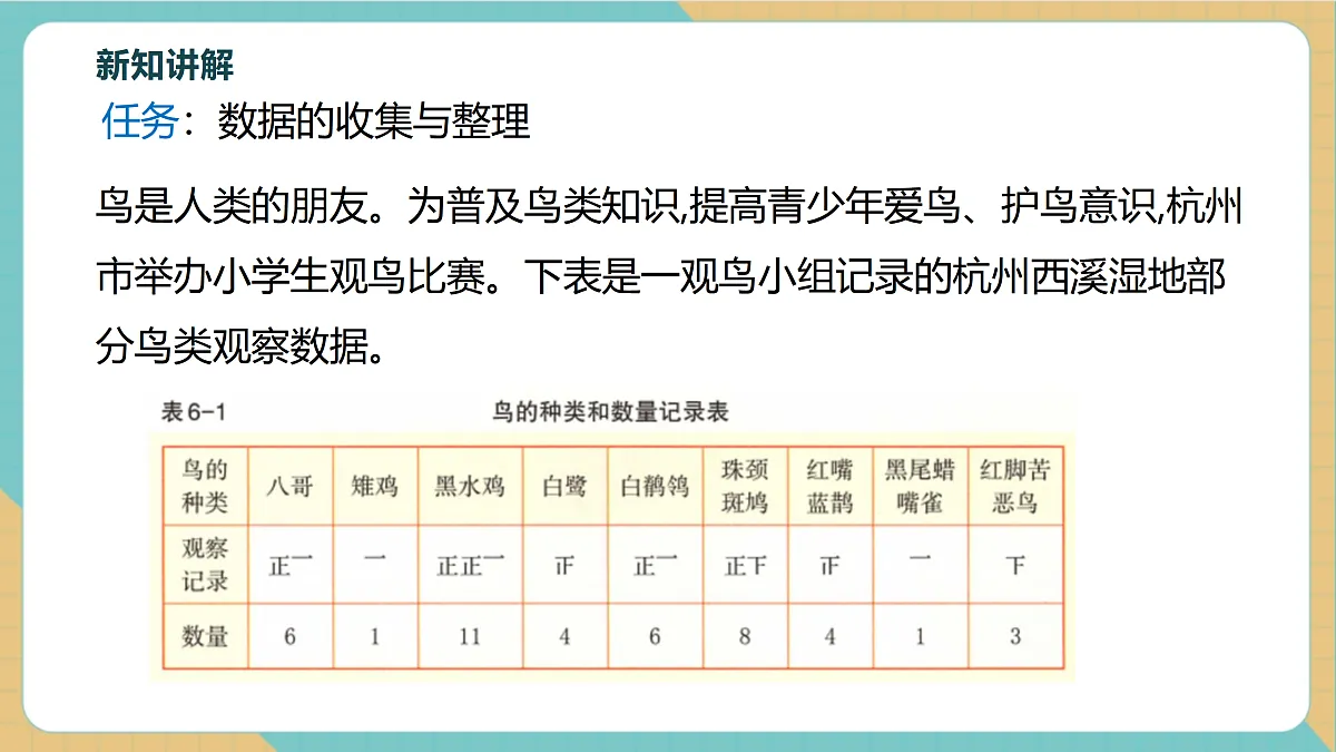 6.1数据的收集与整理（1）第5页