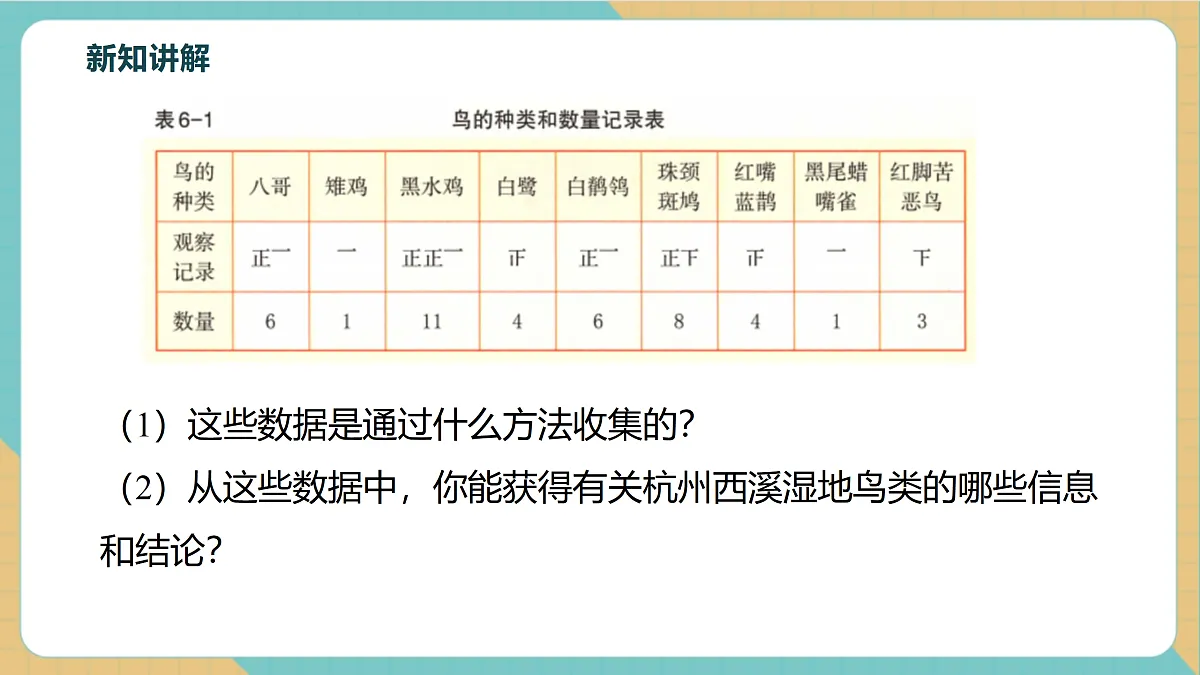 6.1数据的收集与整理（1）第6页
