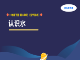 2026年春湘科版一年级科学下册 2.4认识水（教案+课件）