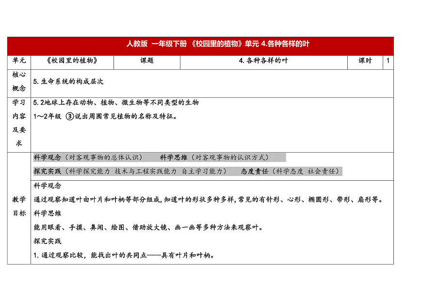 4.各种各样的叶第1页