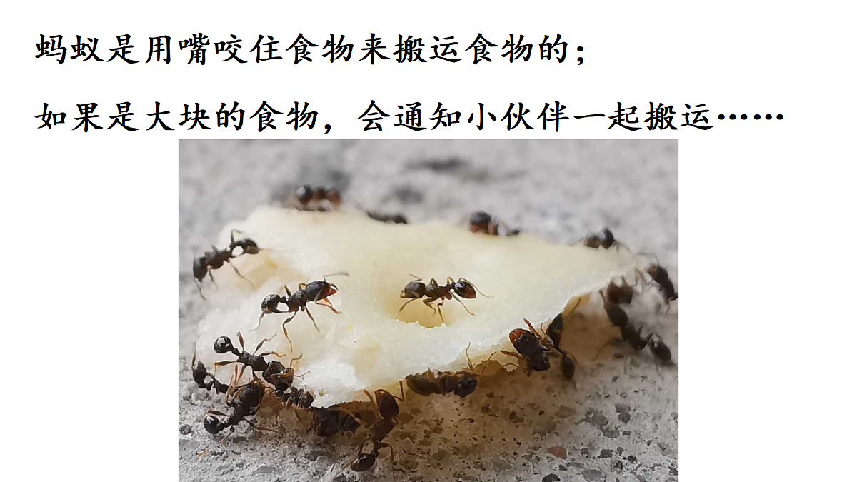 17374960第1页