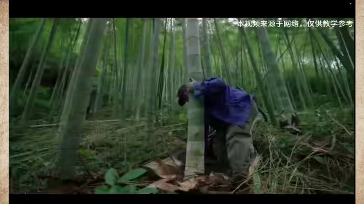 17375119第3页