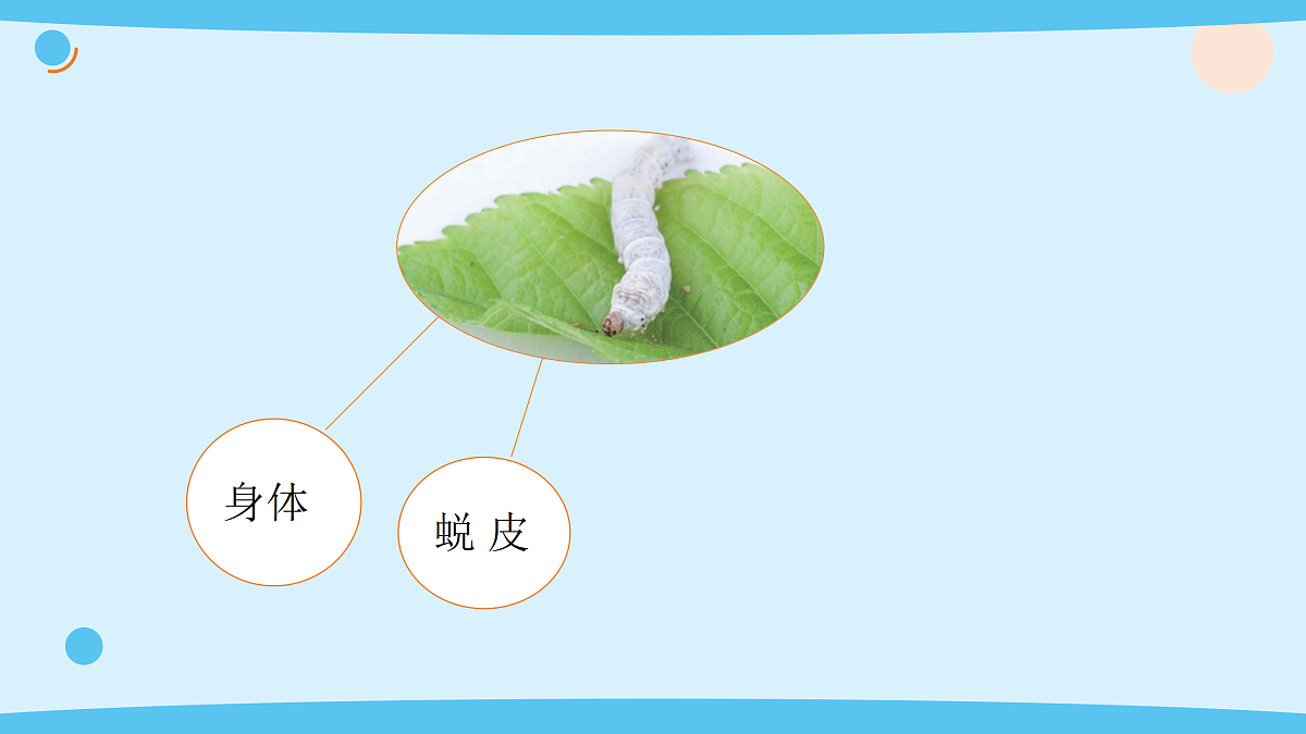 17375422第4页