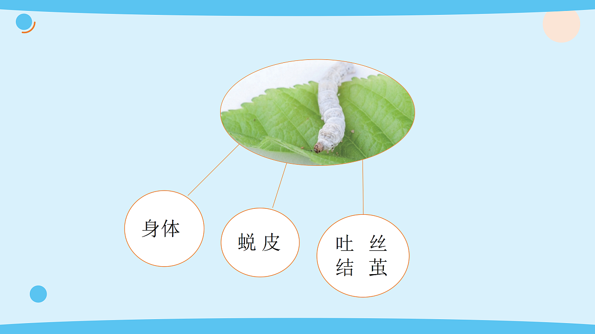 17375422第5页