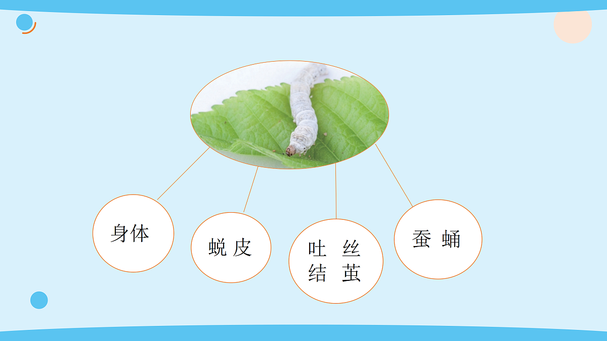 17375422第6页