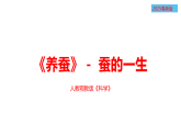 人教鄂教版四年级科学下册8.蚕的一生（课件）
