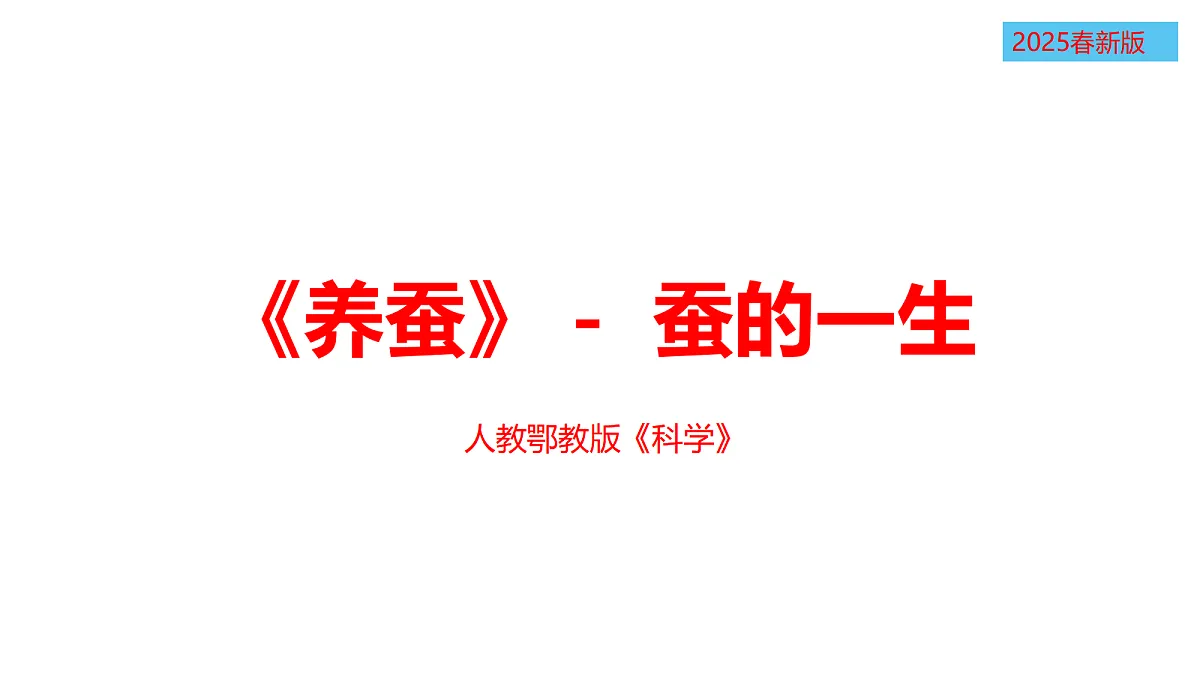 17375424第1页
