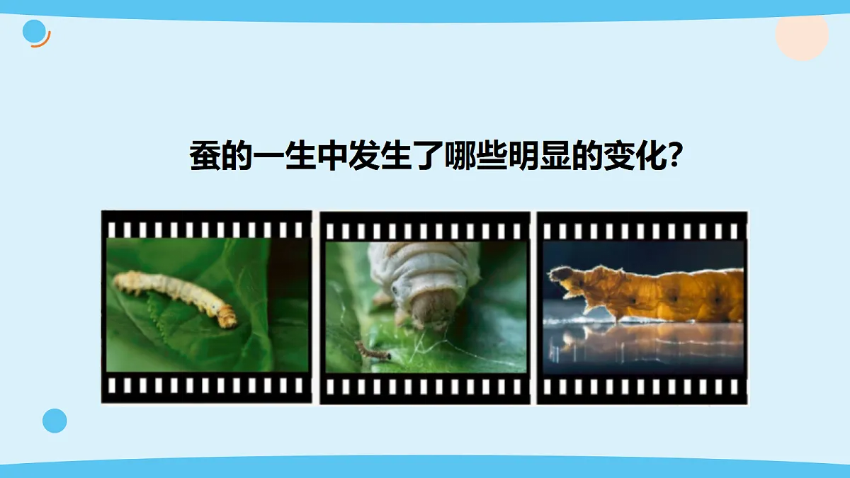 17375424第6页