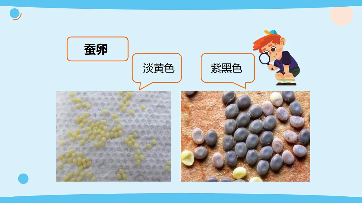 17375424第7页