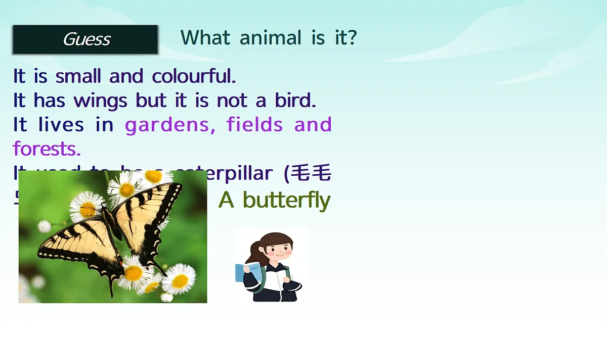 17375476第3页