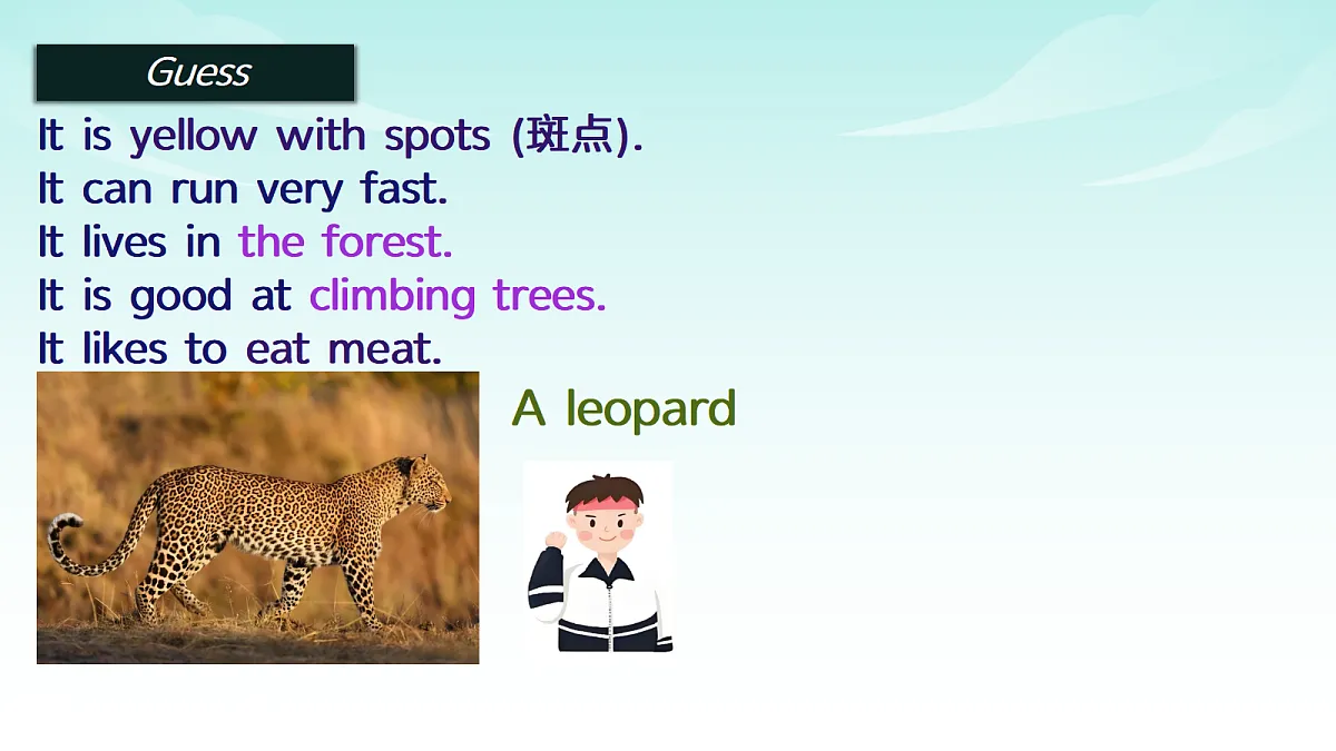 17375476第5页