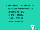 安徽省2025八年级语文上册第四单元17.散文二篇课件新人教版（含答案）