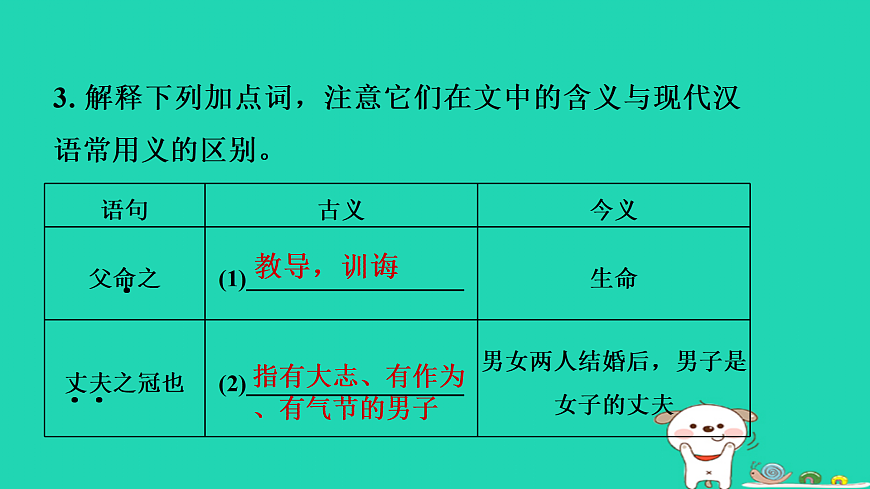 17375543第6页