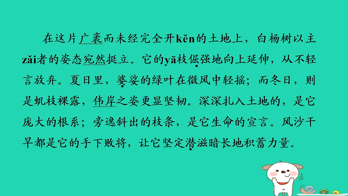 17375635第4页