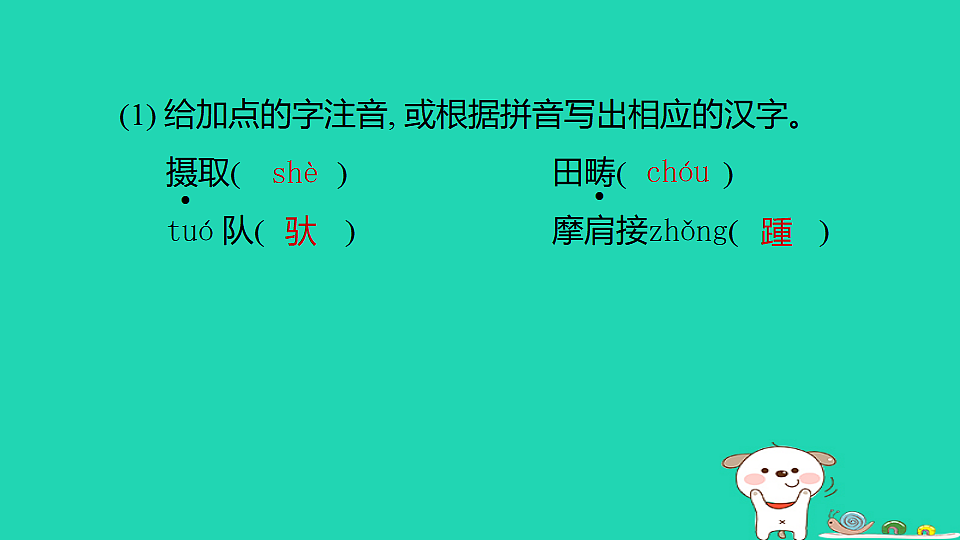 17375644第5页