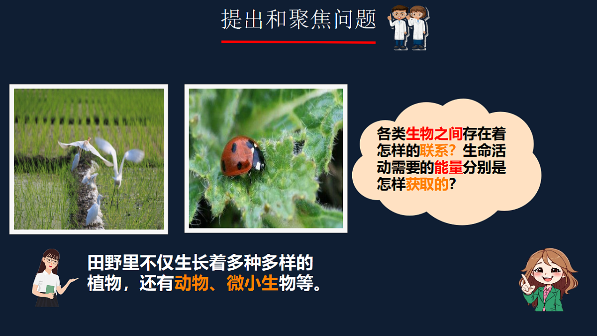 17375800第2页