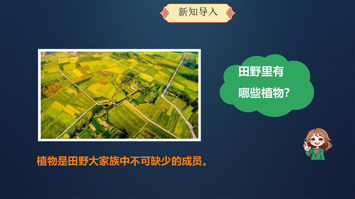 17375800第3页