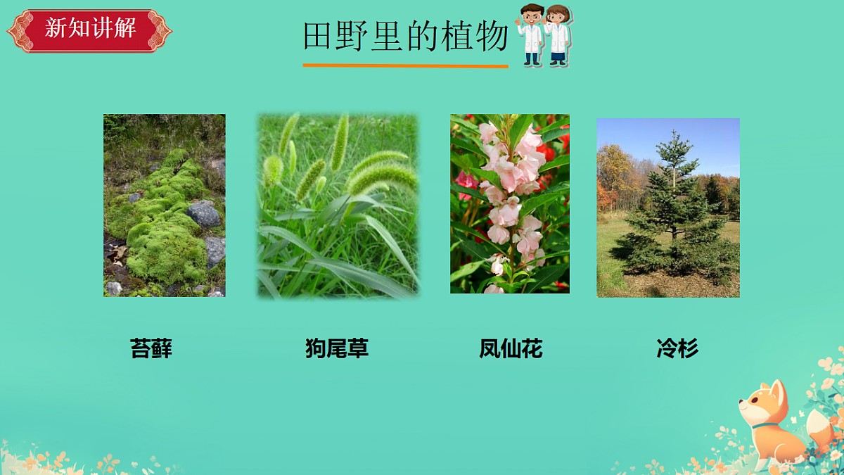 17375800第4页