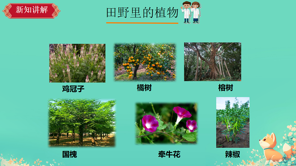17375800第5页