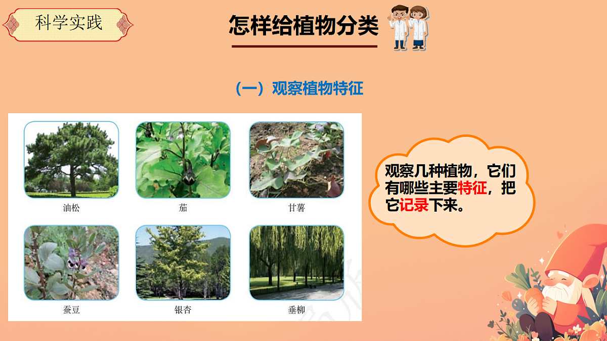 17375800第7页