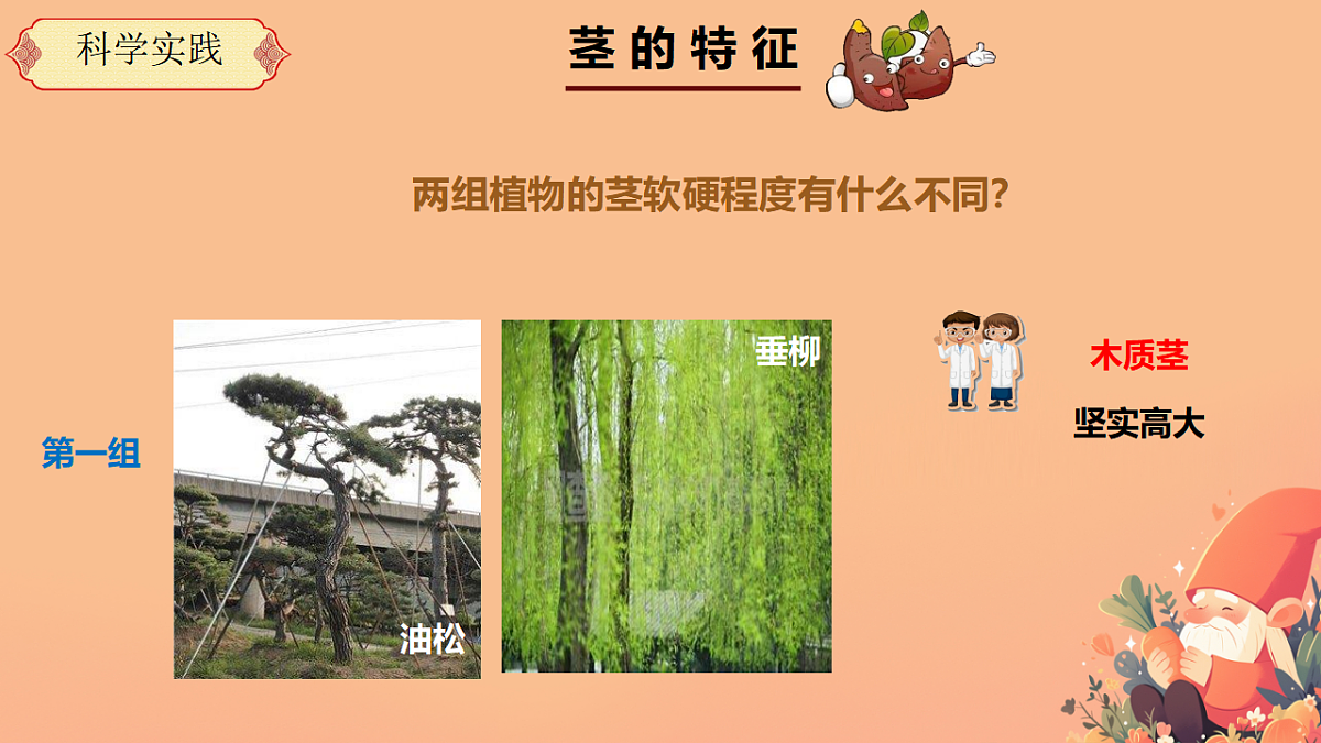 17375800第8页