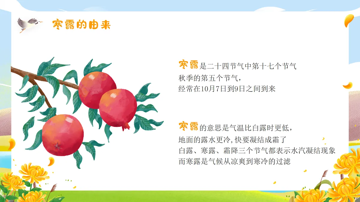 17376125第5页