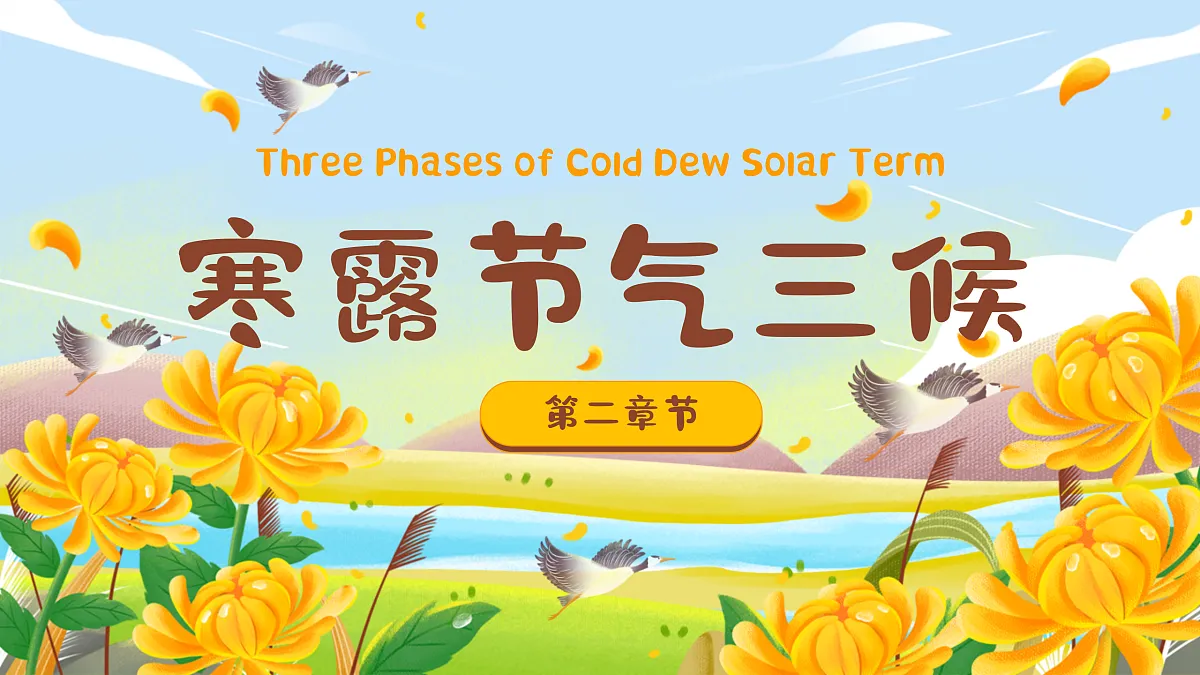 17376125第6页