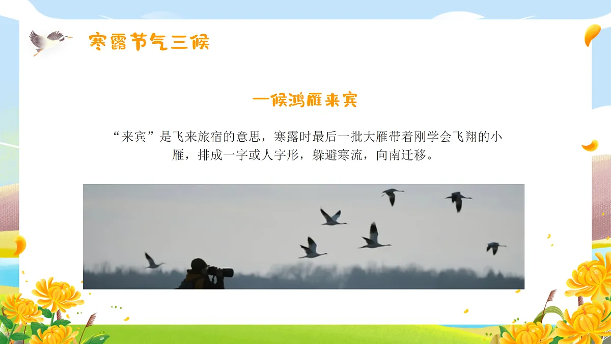 17376125第7页