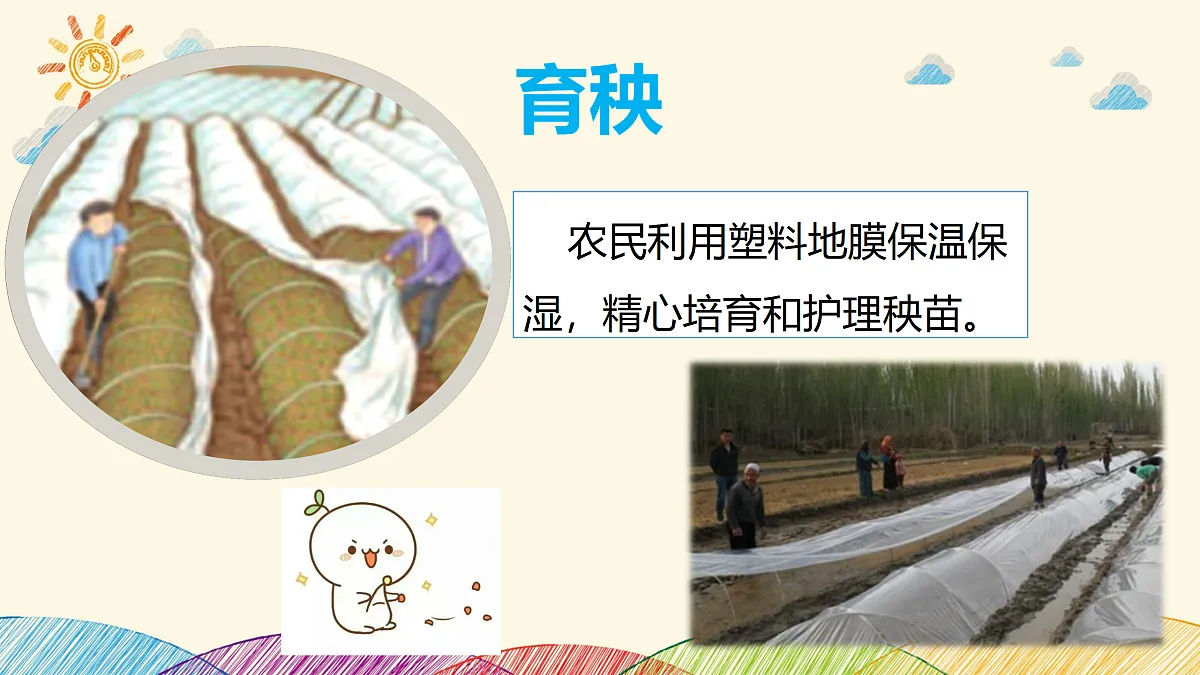 17376182第6页