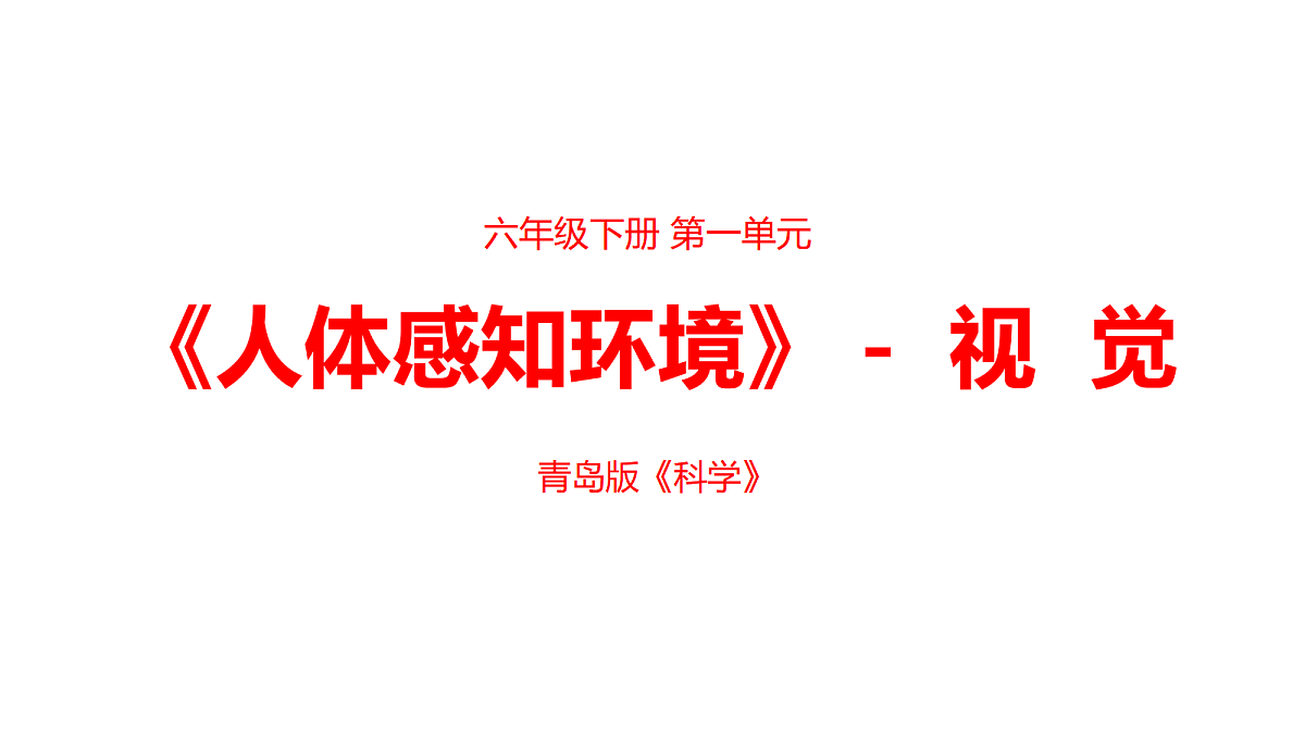 1.《视觉》 教学课件第1页