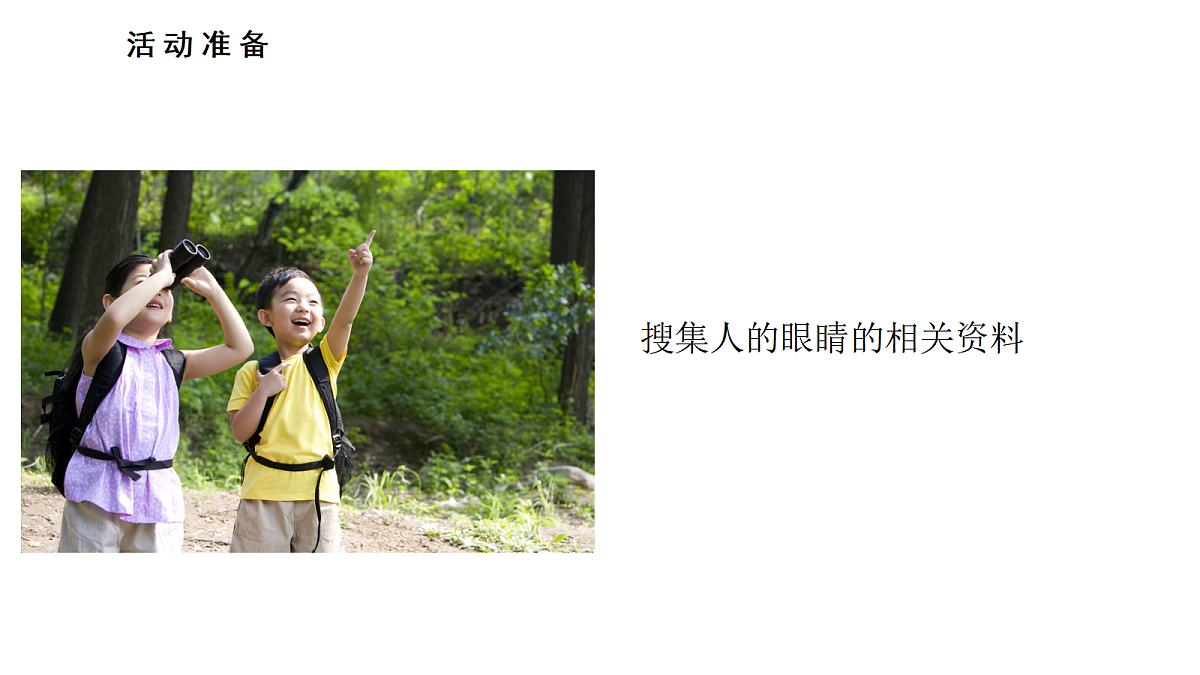 1.《视觉》 教学课件第2页