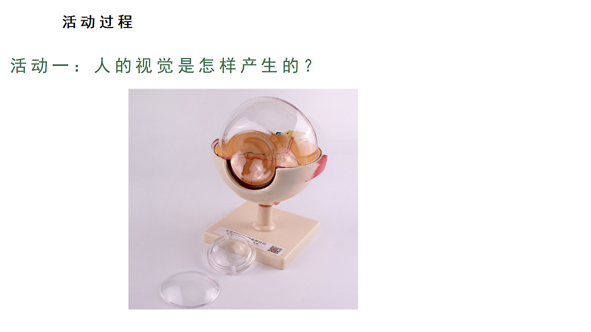 1.《视觉》 教学课件第4页