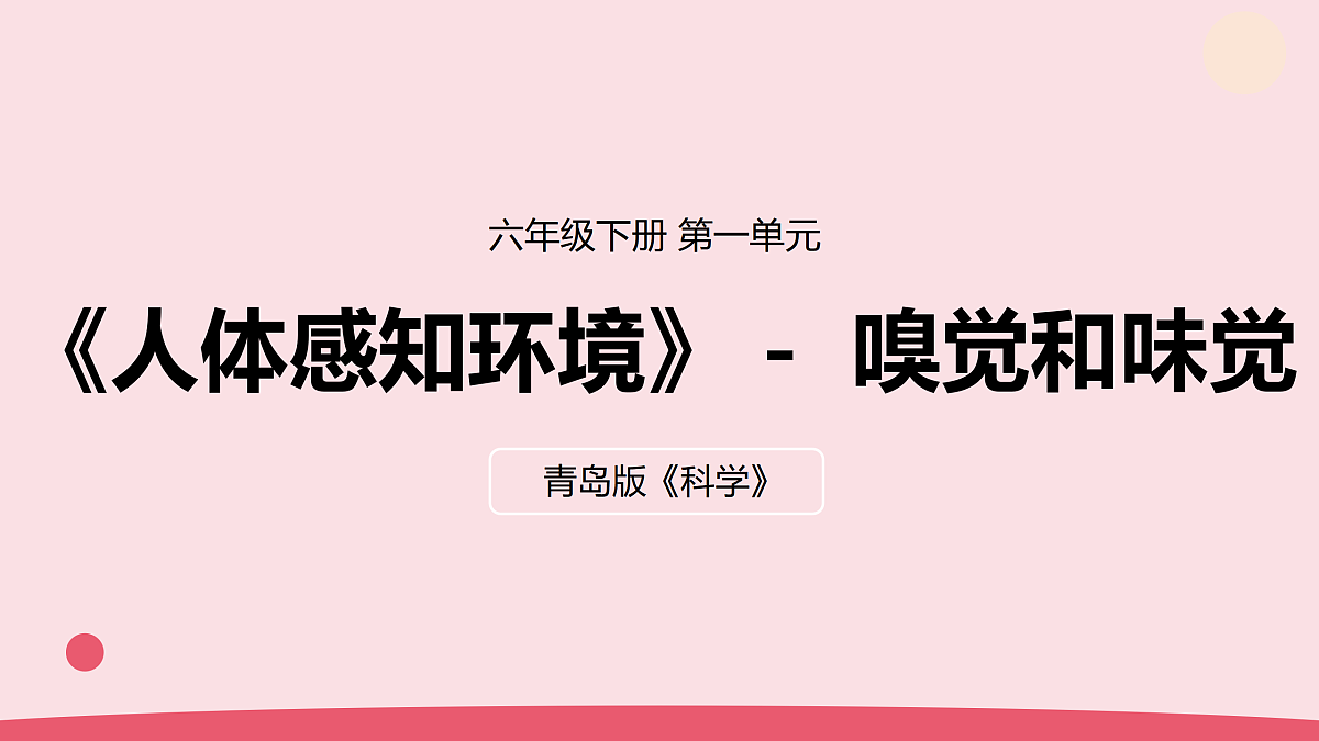 4.《嗅觉和味觉》 教学课件第1页