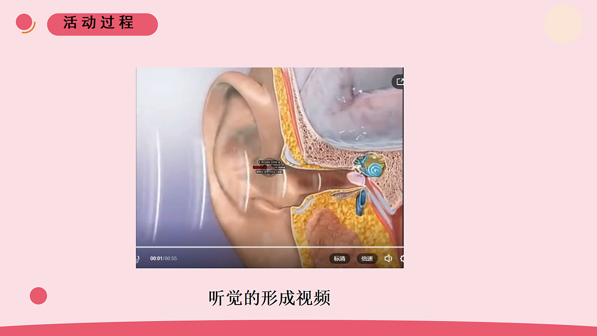 4.《嗅觉和味觉》 教学课件第7页