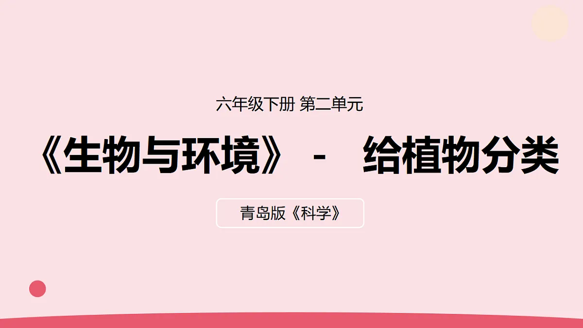 6.《给植物分类》 教学课件第1页