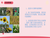 2026年春青岛版六年级科学下册 6.《给植物分类》（教案+课件）