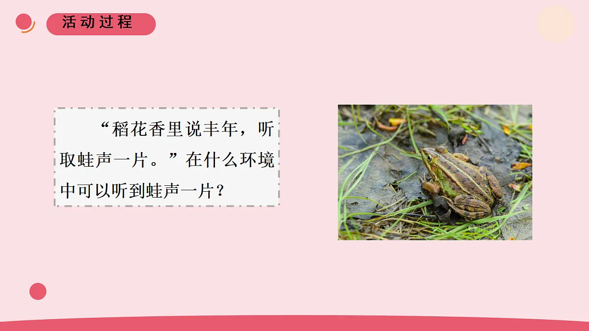 7《动物行为与环境变化》教学课件第3页