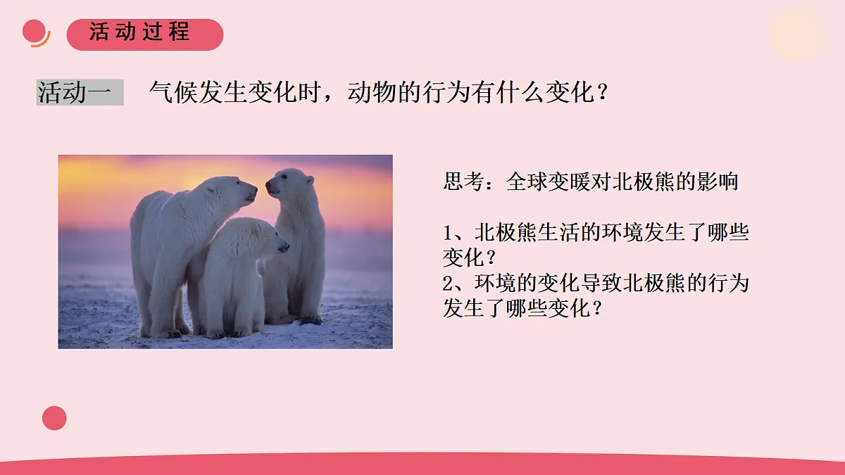 7《动物行为与环境变化》教学课件第5页
