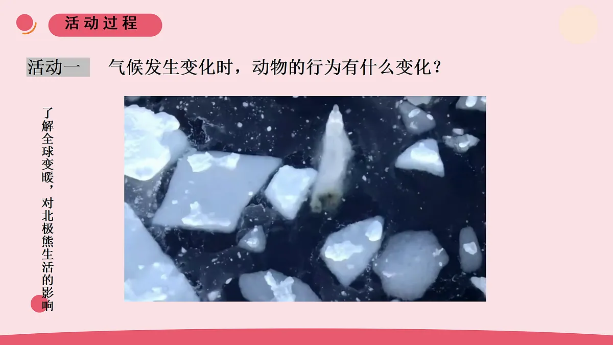 8.《保护我们的环境》教学课件第4页