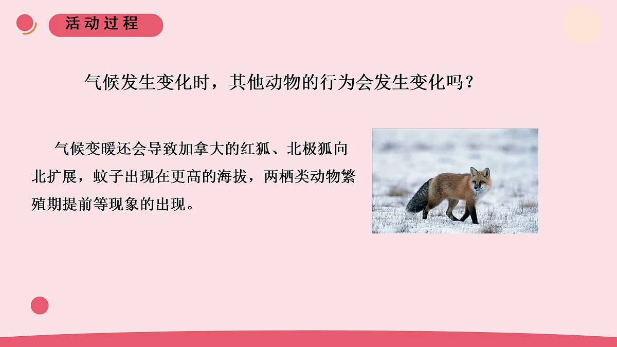 8.《保护我们的环境》教学课件第7页