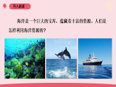 2026年春青岛版六年级科学下册 11.《海洋资源》（教案+课件）