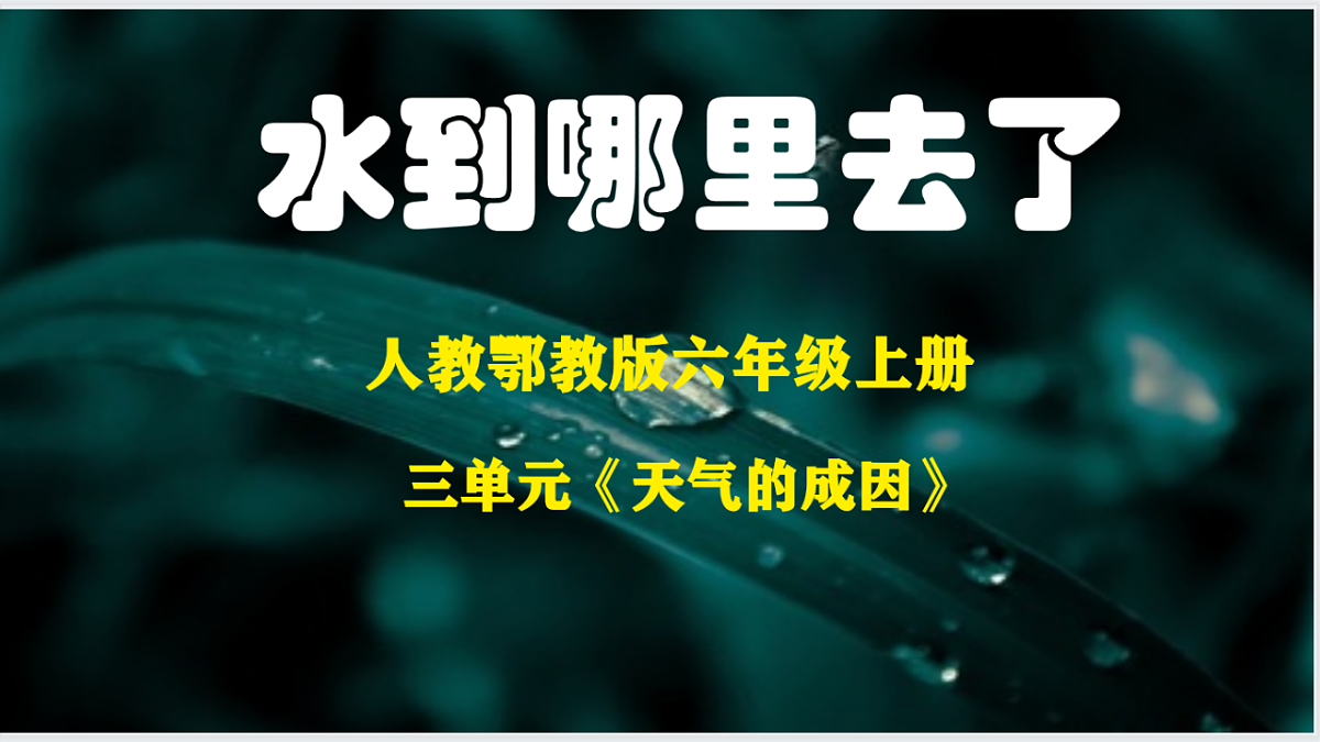 17376570第1页
